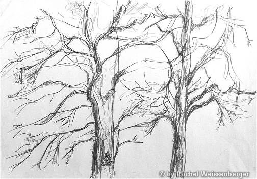Trees, Siegen, Pencil sketch on paper,