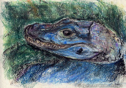 Crocodile, Pastels on hand-made paper,