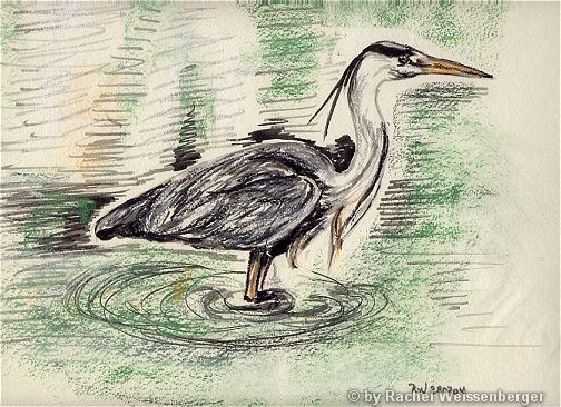 Grey heron, Ink pencils and pastels on hand-made paper,