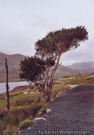 Killary Harbour