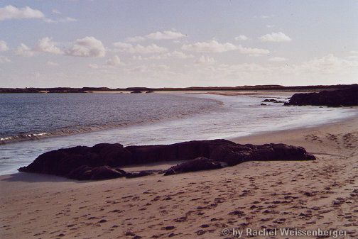 Dog's Bay