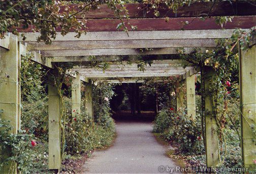 Clontarf Rose Gardens