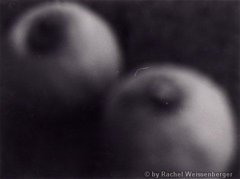 Lemons 2