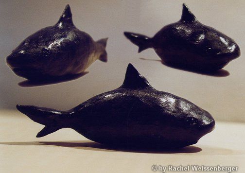Shark