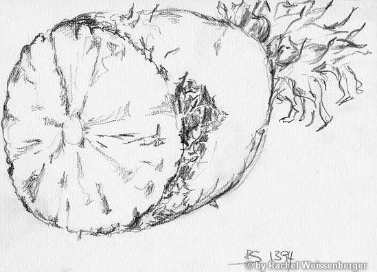 Ananas