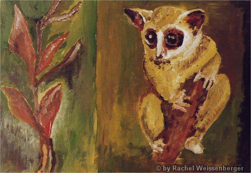 Bushbaby, Acrylics with brush on wood,