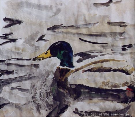 Ente, Aquarell und Acrylfarbe auf Papier,