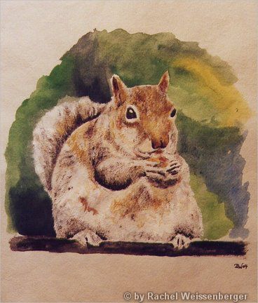Grey squirrel, Acrylic watercolours on hand-made paper,
