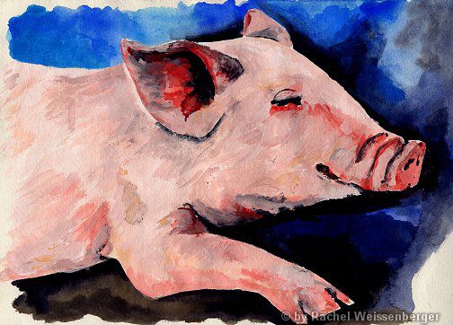 Schwein, Deckfarbe auf Büttenpapier,