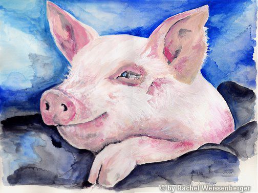 Pig, Acrylic watercolours on paper,