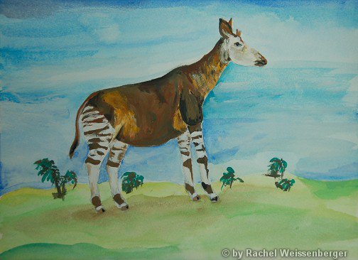 Okapi, Deckfarbe auf Papier,