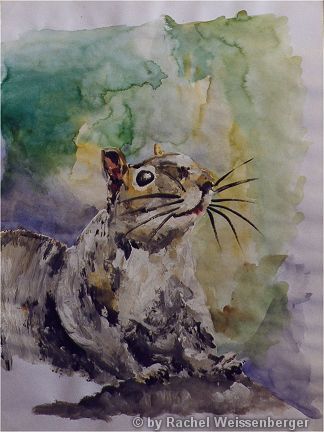 Grauhörnchen II, Aquarell mit Tusche auf Papier,