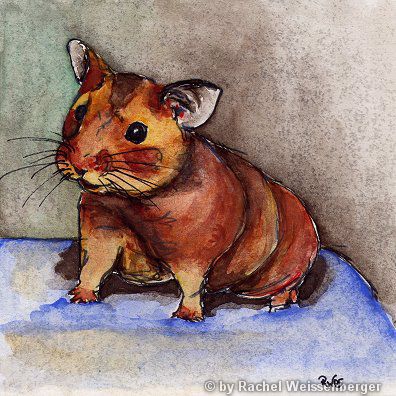 Hamster, Aquarell und Tusche auf Malkarton,