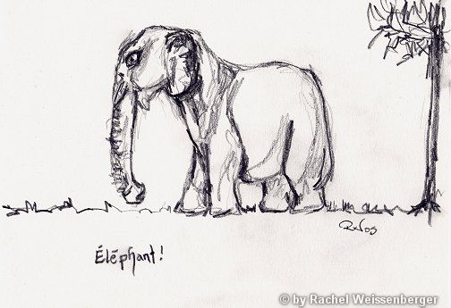 Éléphant, Bleistiftskizze auf Papier,