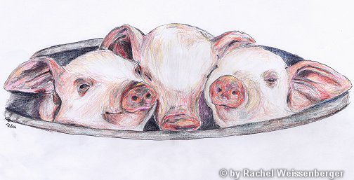 Schweine, Farbstifte auf Papier,