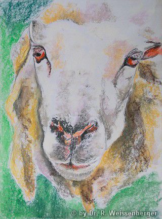 Derek, Pastels on paper,