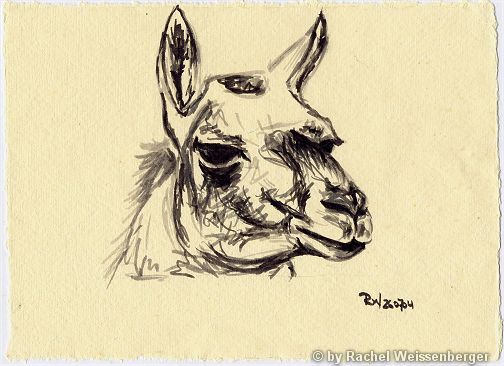 Llama I, Ink pencils on hand-made paper,