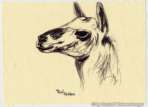 Llama III, Ink pencils on hand-made paper,