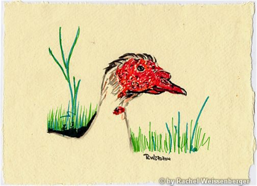 Duck, Ink pencils on hand-made paper,