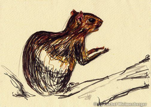 Agouti, Ink pencils on hand-made paper,