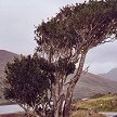 Killary Harbour