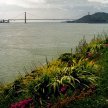 View from Alcatraz