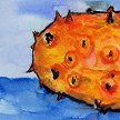 Kiwano