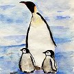 Penguins