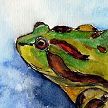 Frosch