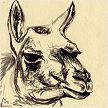 Llama I